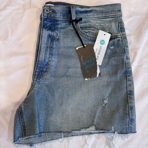 Studio Blue Classic Distressed Denim Cut Off Shorts,‎ Size 16